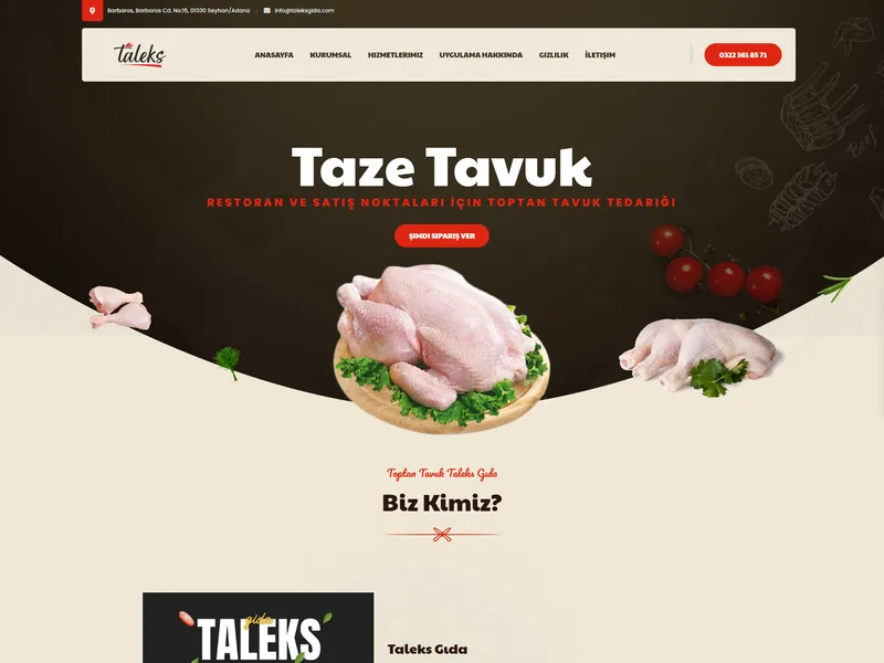 Taleks Gida web sitesi tasarimi - Gida & Restoran - UCY Medya Adana